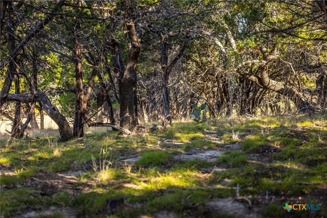 16.36 acres in Lampasas County - photo 19