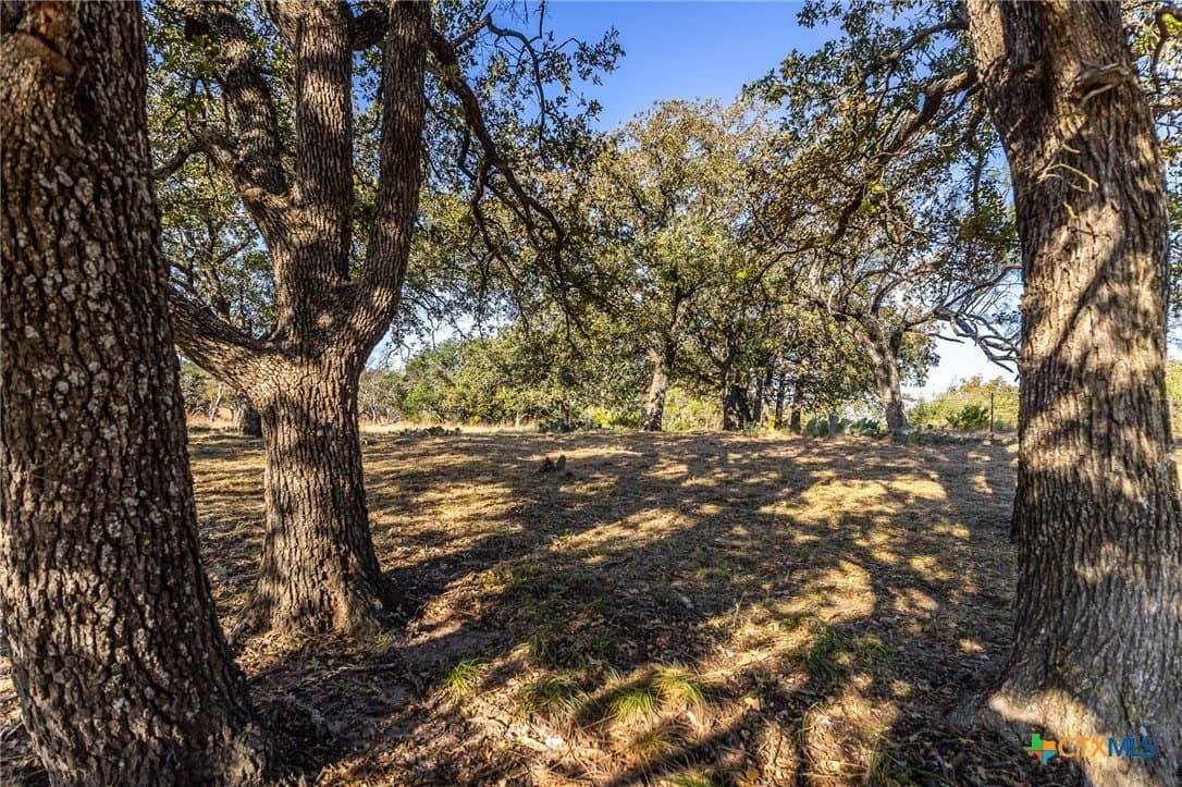 16.36 acres in Lampasas County gallery image 3