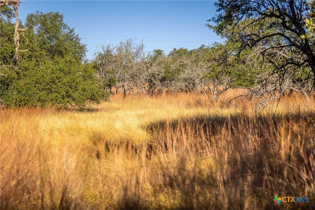 16.36 acres in Lampasas County - photo 15