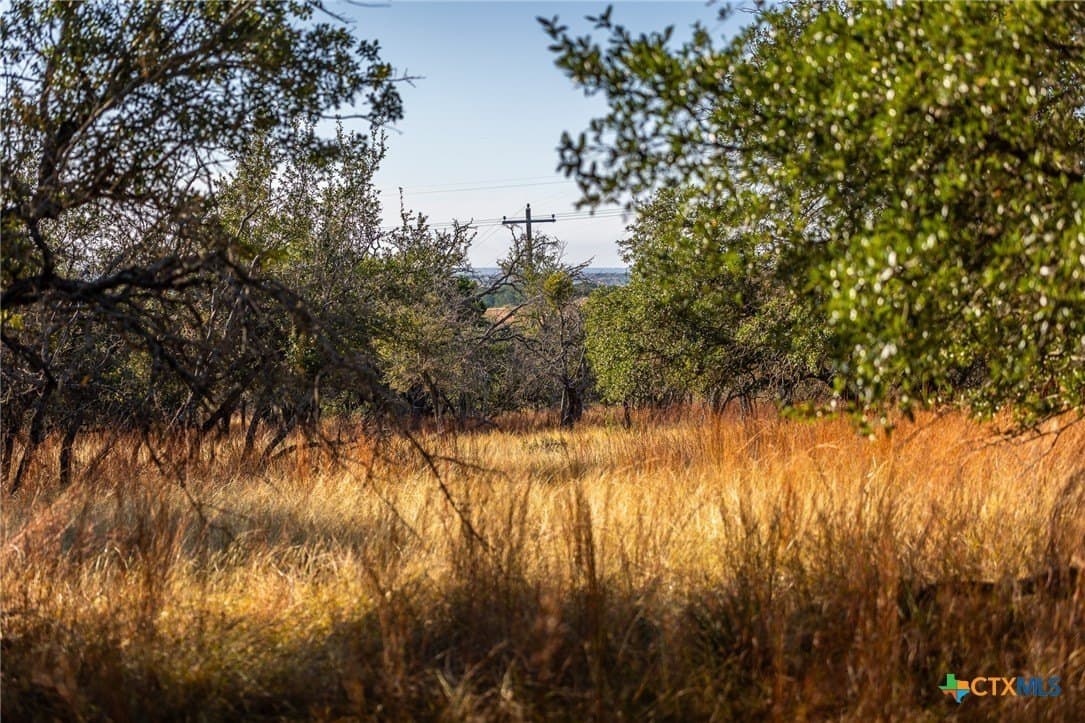16.36 acres in Lampasas County - photo 14