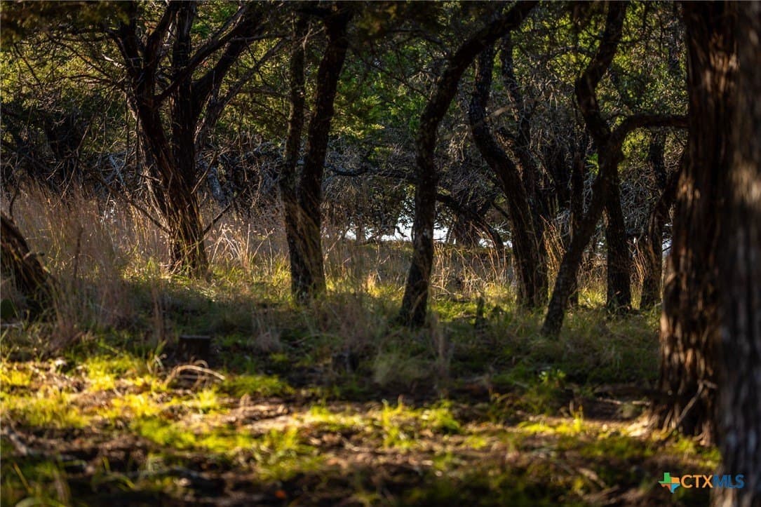 16.36 acres in Lampasas County gallery image 2