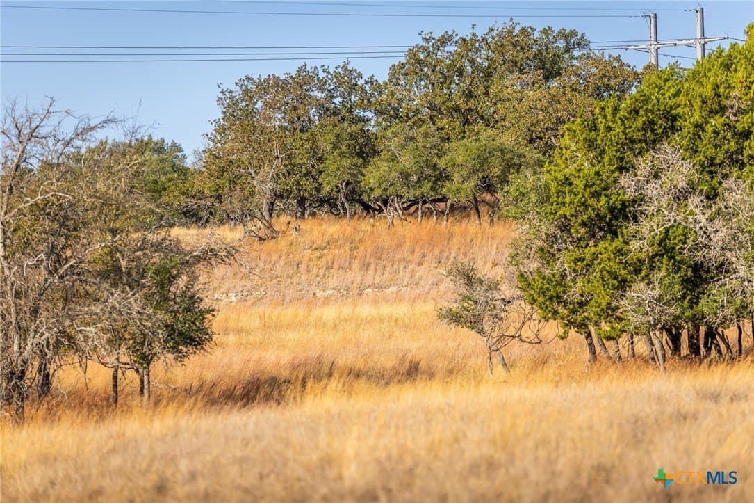 16.36 acres in Lampasas County - photo 7