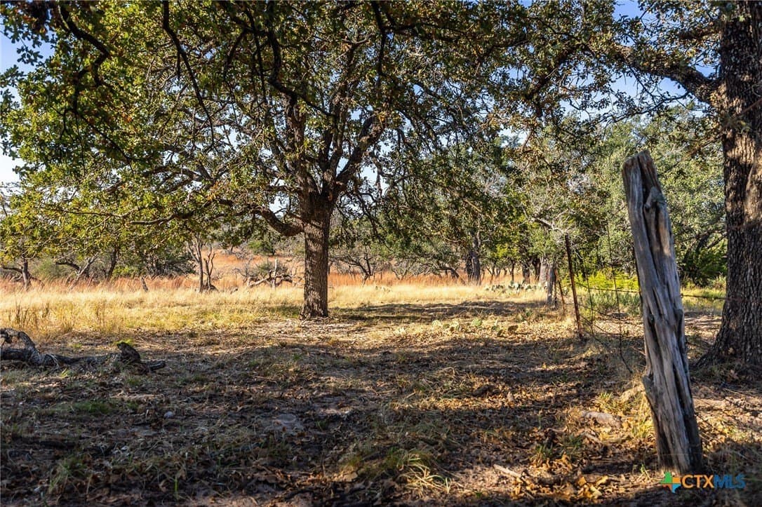 16.36 acres in Lampasas County - photo 9