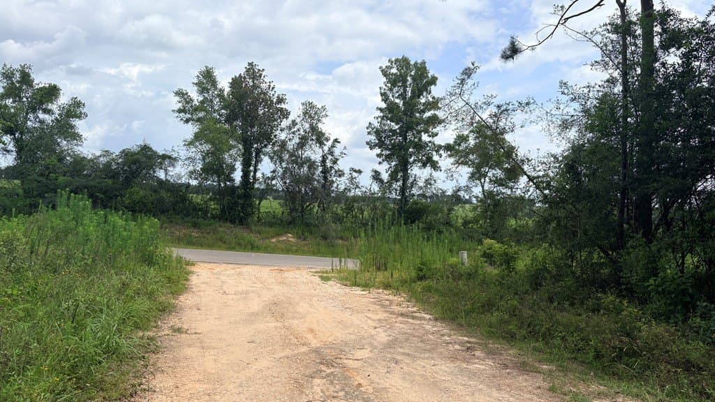 0.18 acres in Texas County featured view
