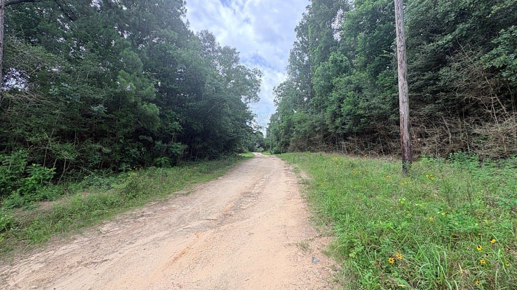 0.18 acres in Texas County gallery image 3