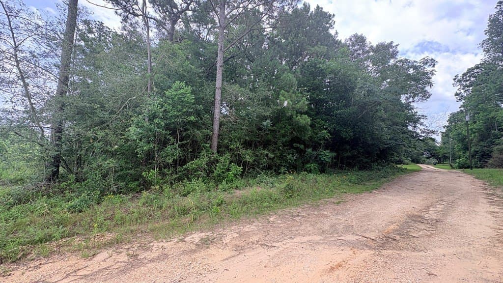 0.18 acres in Texas County gallery image 4