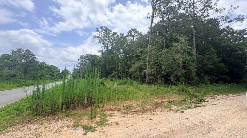 0.18 acres in Texas County gallery image 2