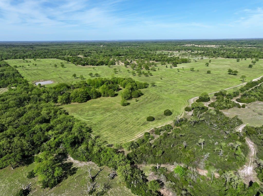 1,021 acres in Limestone County featured view