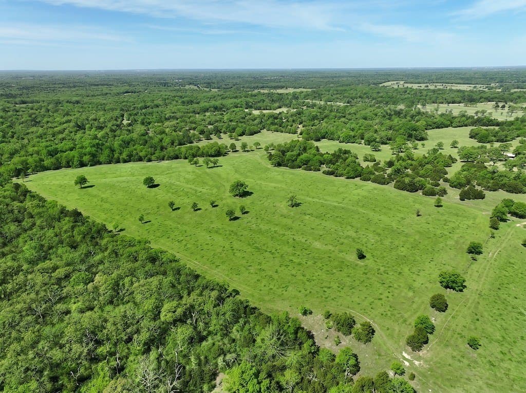 1,021 acres in Limestone County gallery image 2