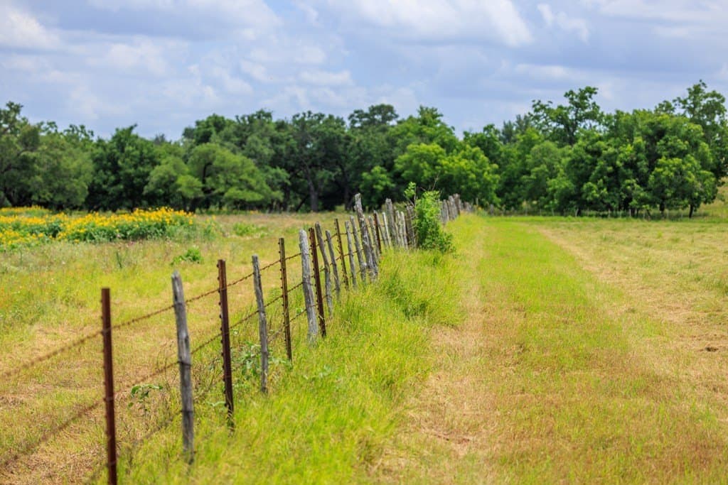 52.23 acres in Gillespie County - photo 45
