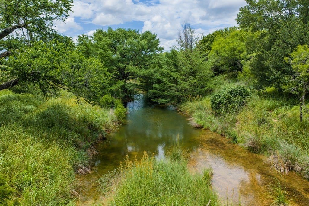 52.23 acres in Gillespie County - photo 17