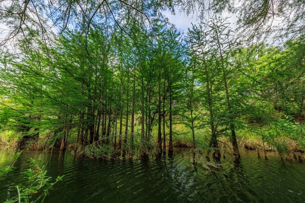 52.23 acres in Gillespie County - photo 22