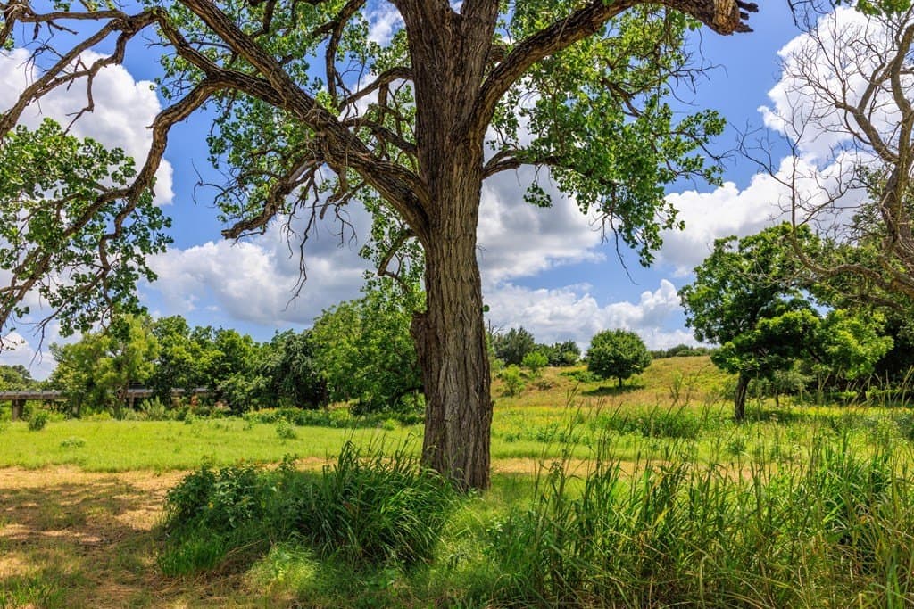 52.23 acres in Gillespie County - photo 34