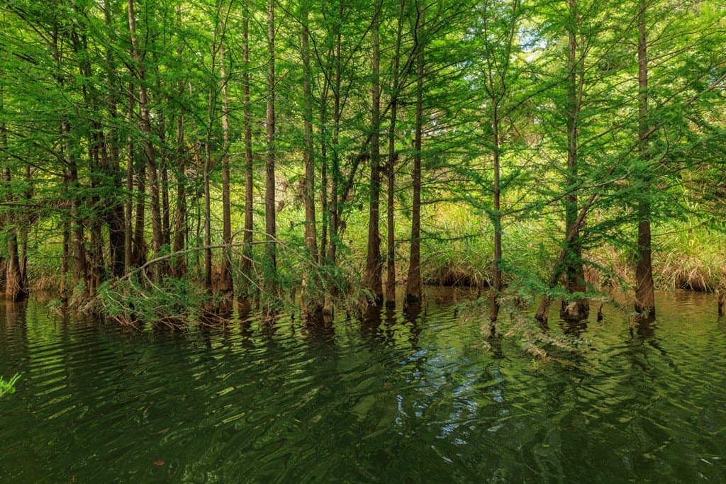 52.23 acres in Gillespie County - photo 23