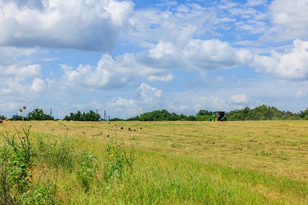 52.23 acres in Gillespie County - photo 41