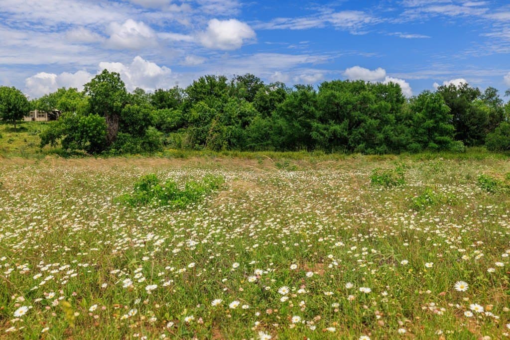 52.23 acres in Gillespie County - photo 40