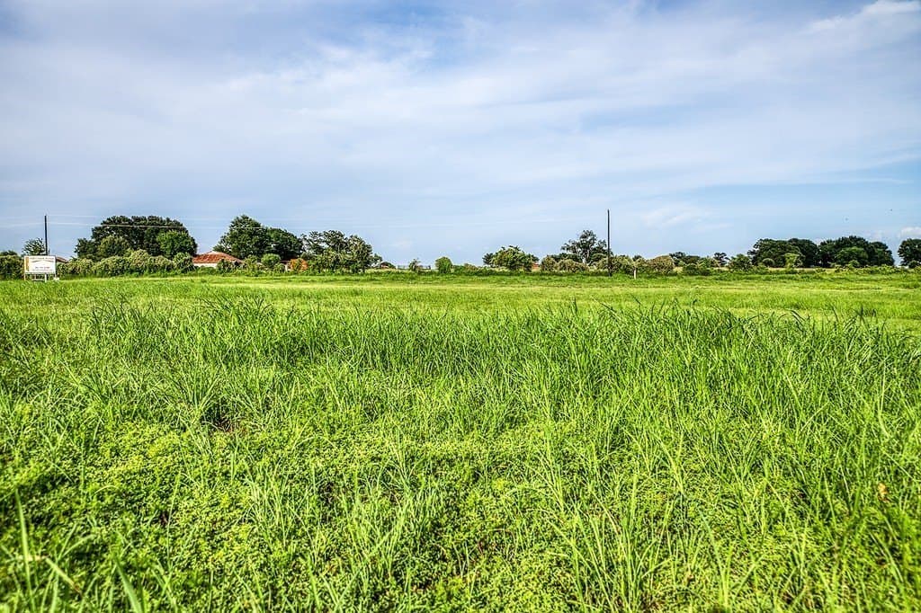 2.2 acres in Washington County - photo 6