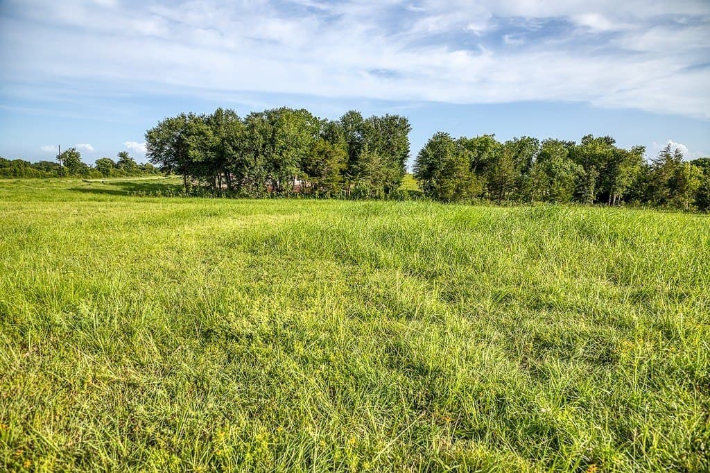 2.2 acres in Washington County - photo 7
