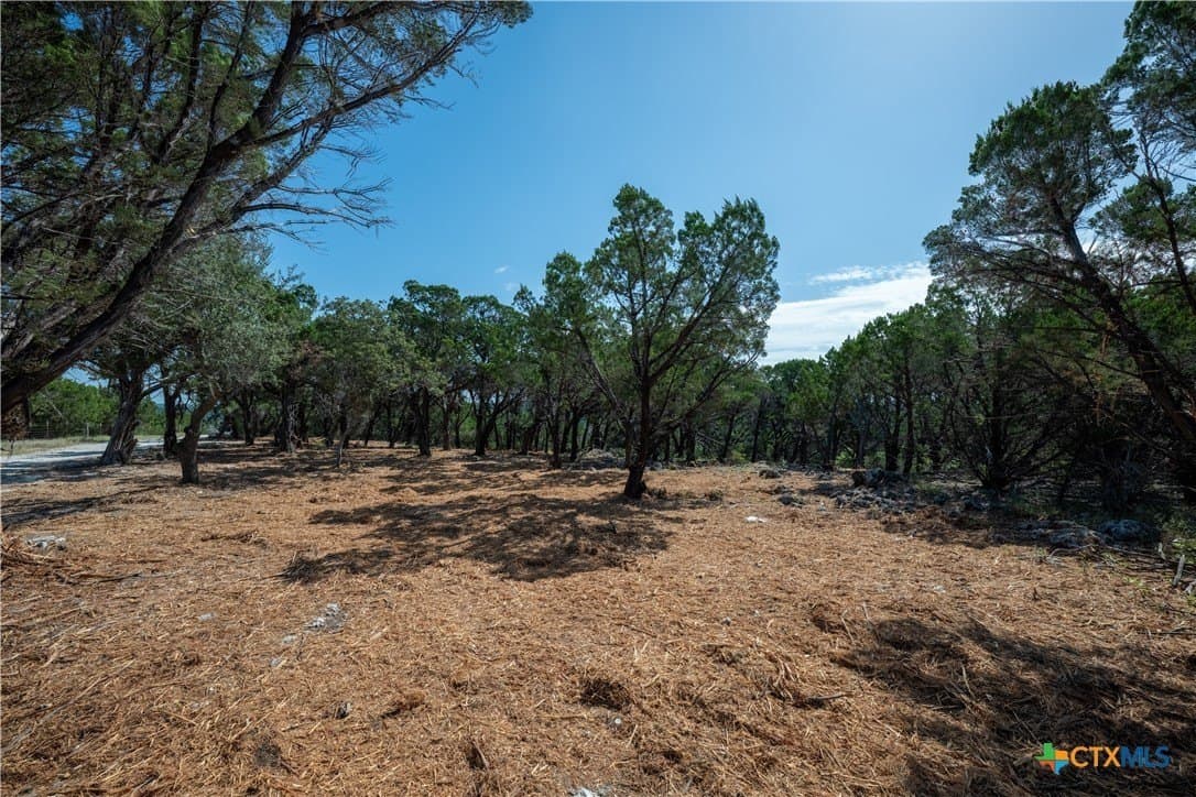 12.36 acres in Travis County - photo 12