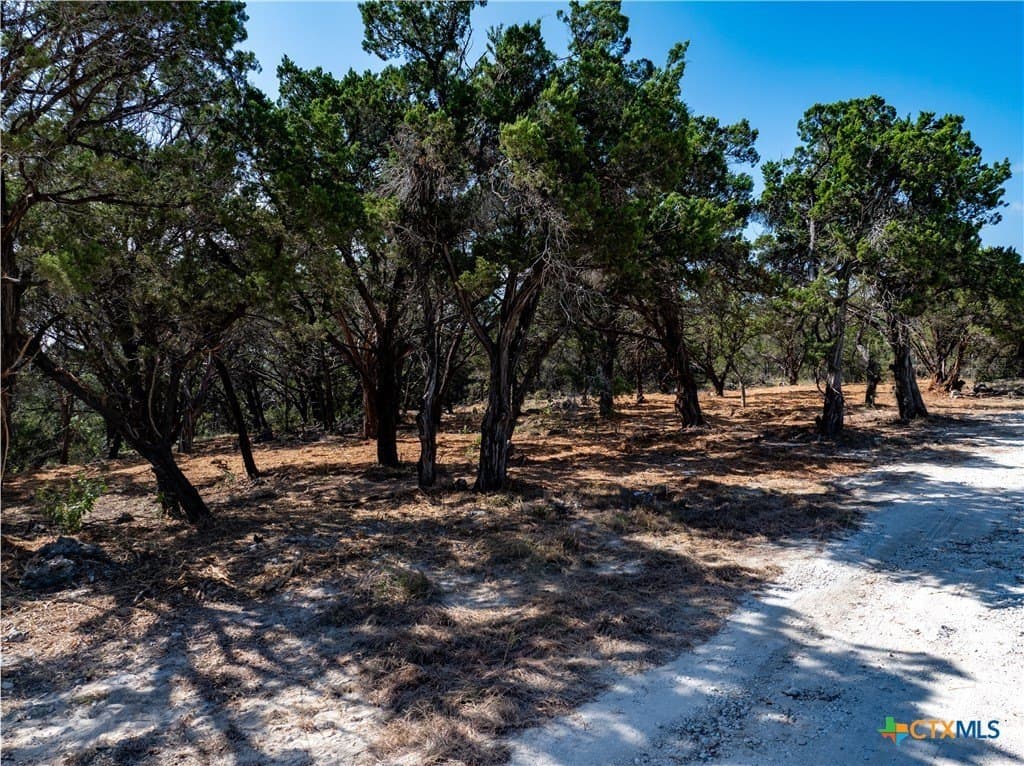 12.36 acres in Travis County - photo 9