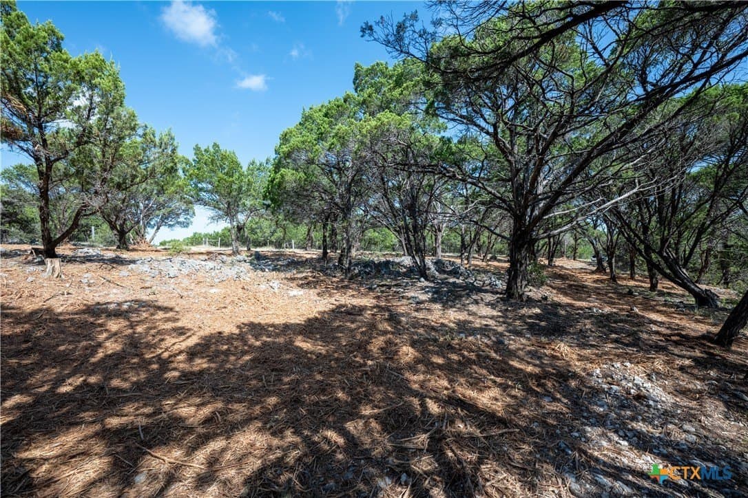12.36 acres in Travis County - photo 34