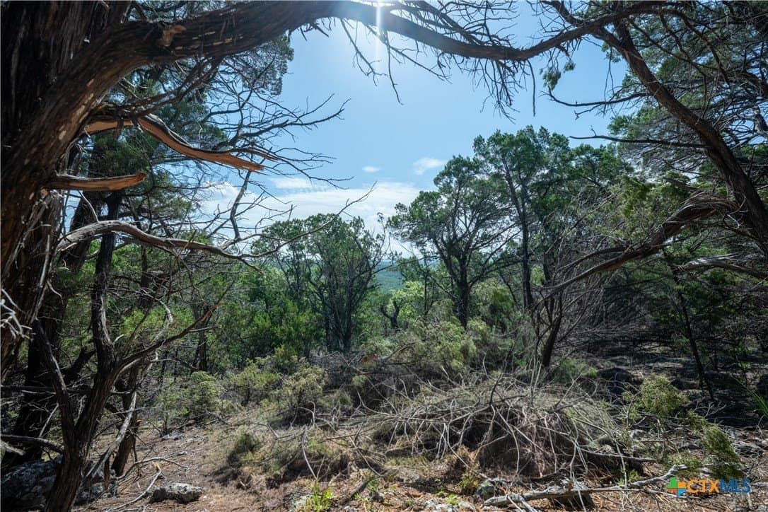 12.36 acres in Travis County - photo 31