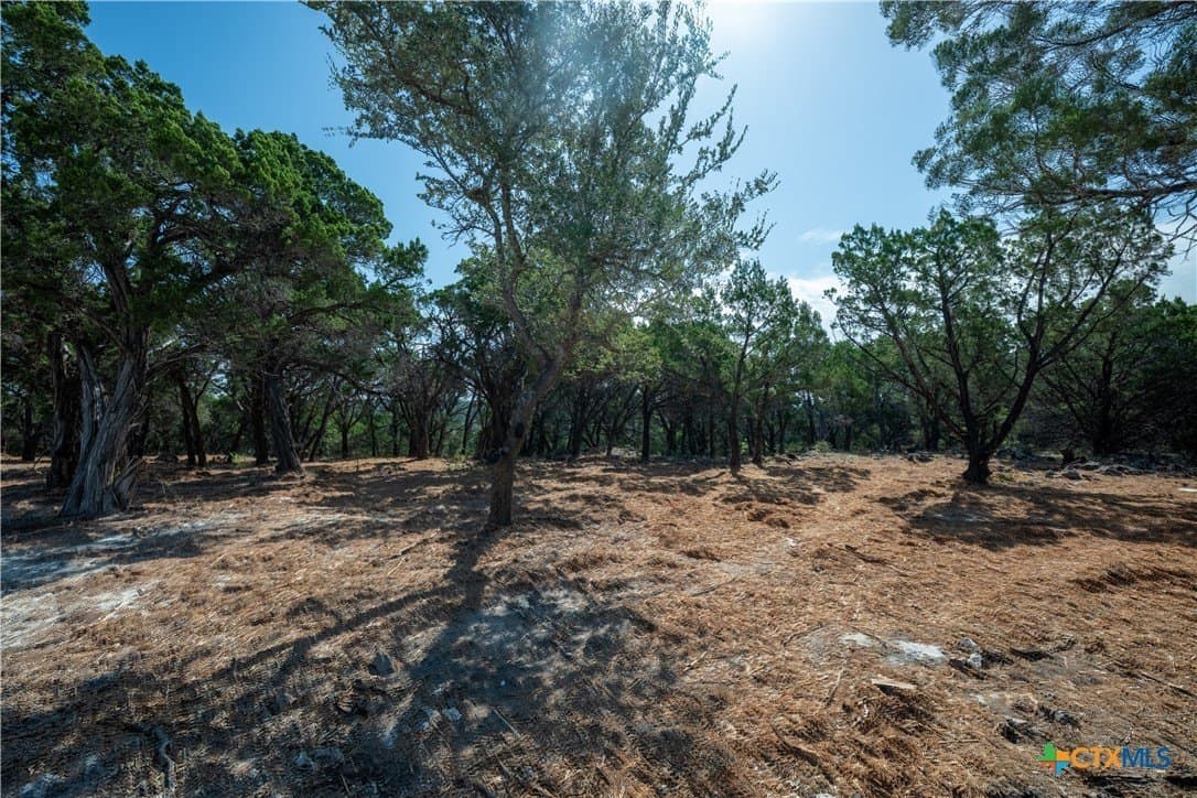 12.36 acres in Travis County - photo 36
