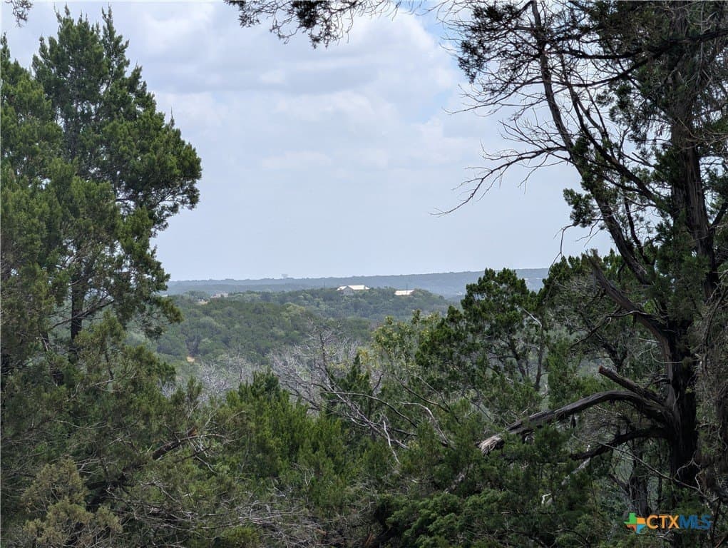 12.36 acres in Travis County - photo 5