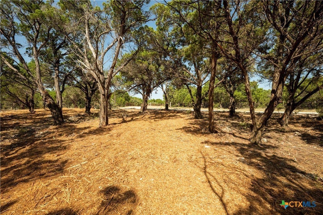 12.36 acres in Travis County - photo 13