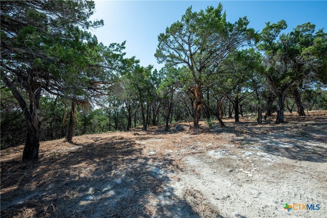 12.36 acres in Travis County - photo 35