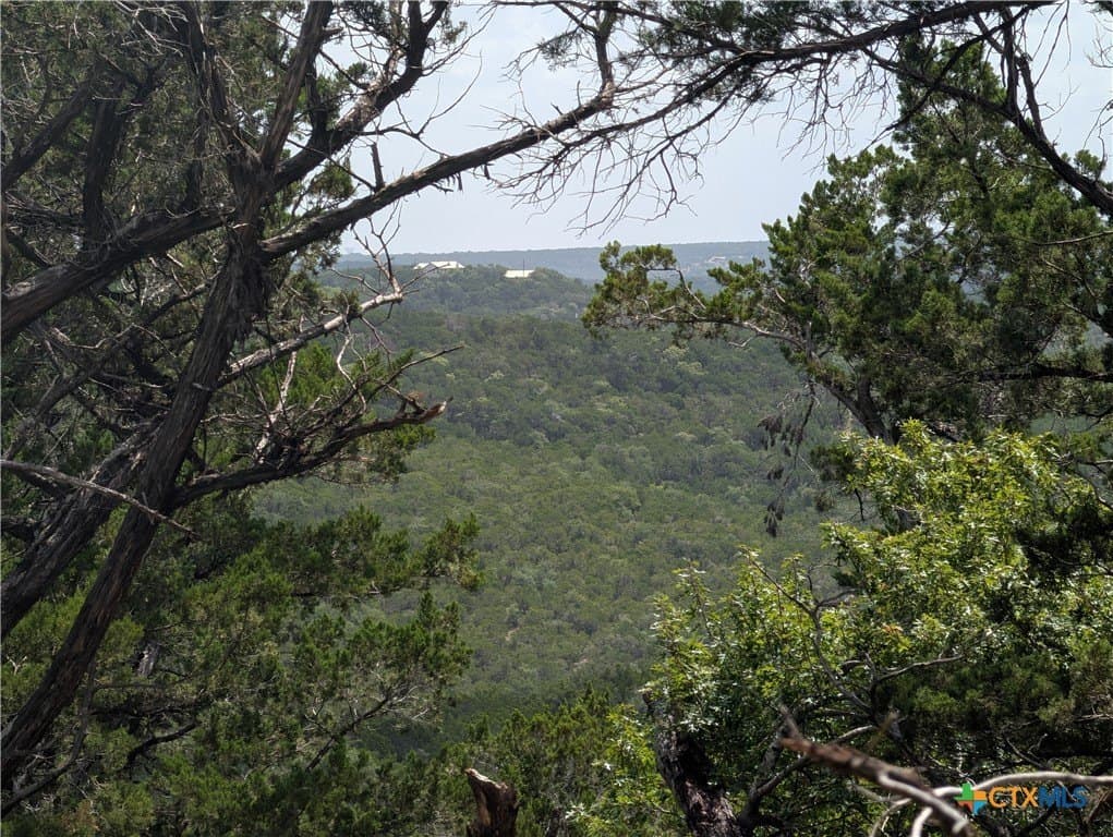 12.36 acres in Travis County - photo 6
