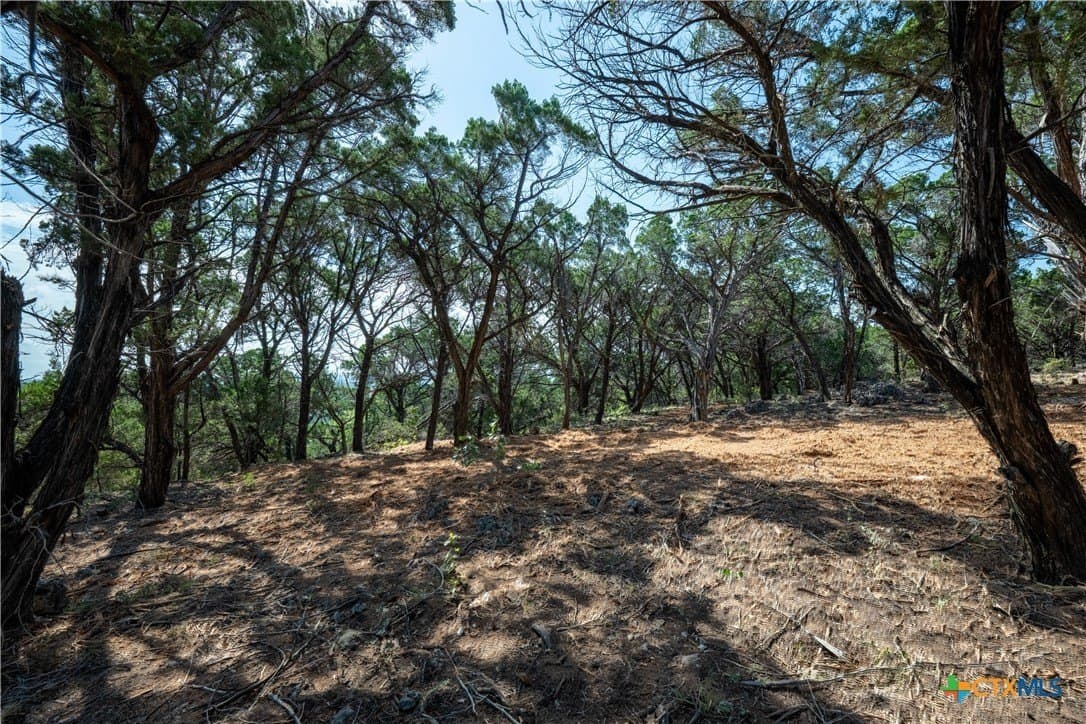 12.36 acres in Travis County - photo 32