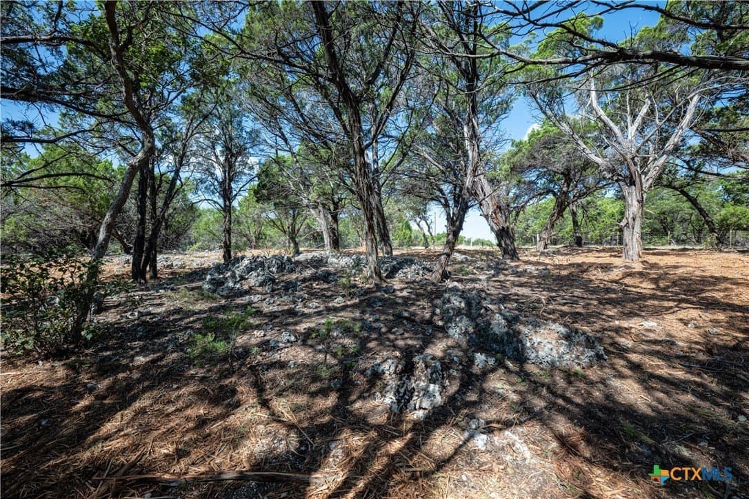 12.36 acres in Travis County - photo 33