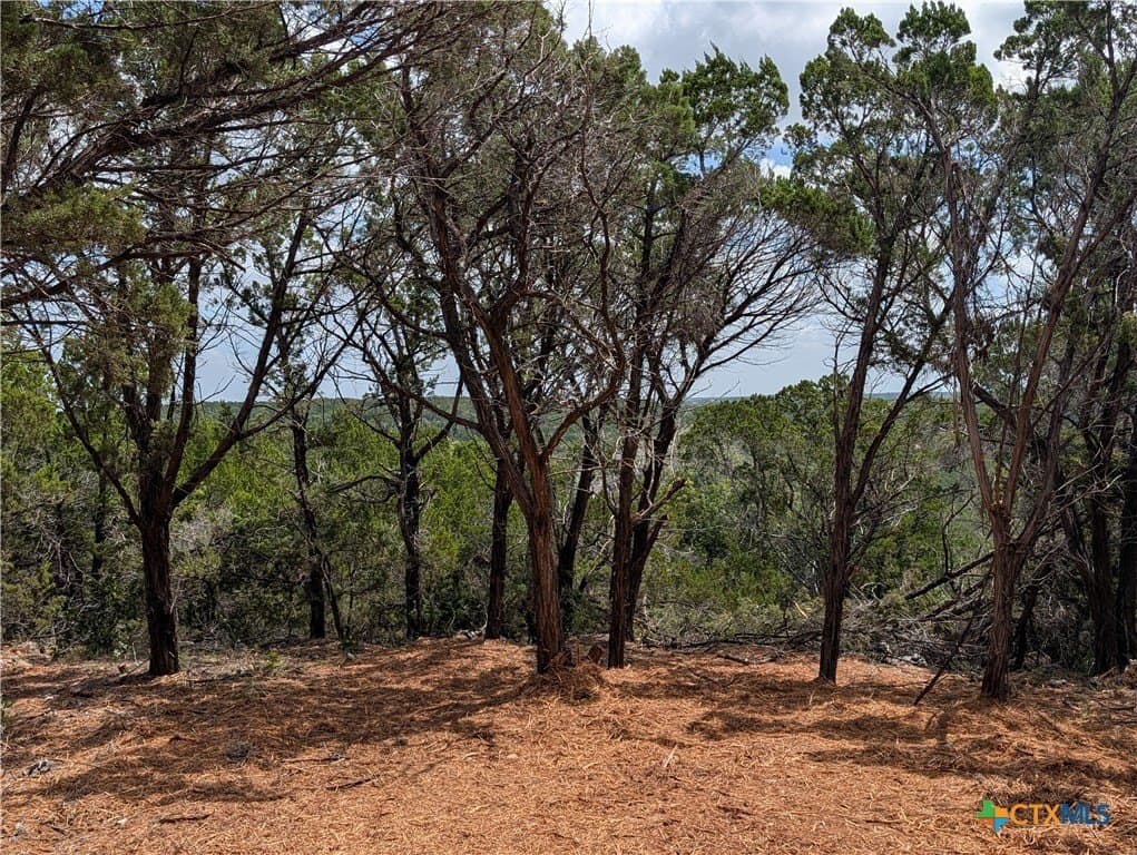 12.36 acres in Travis County - photo 3