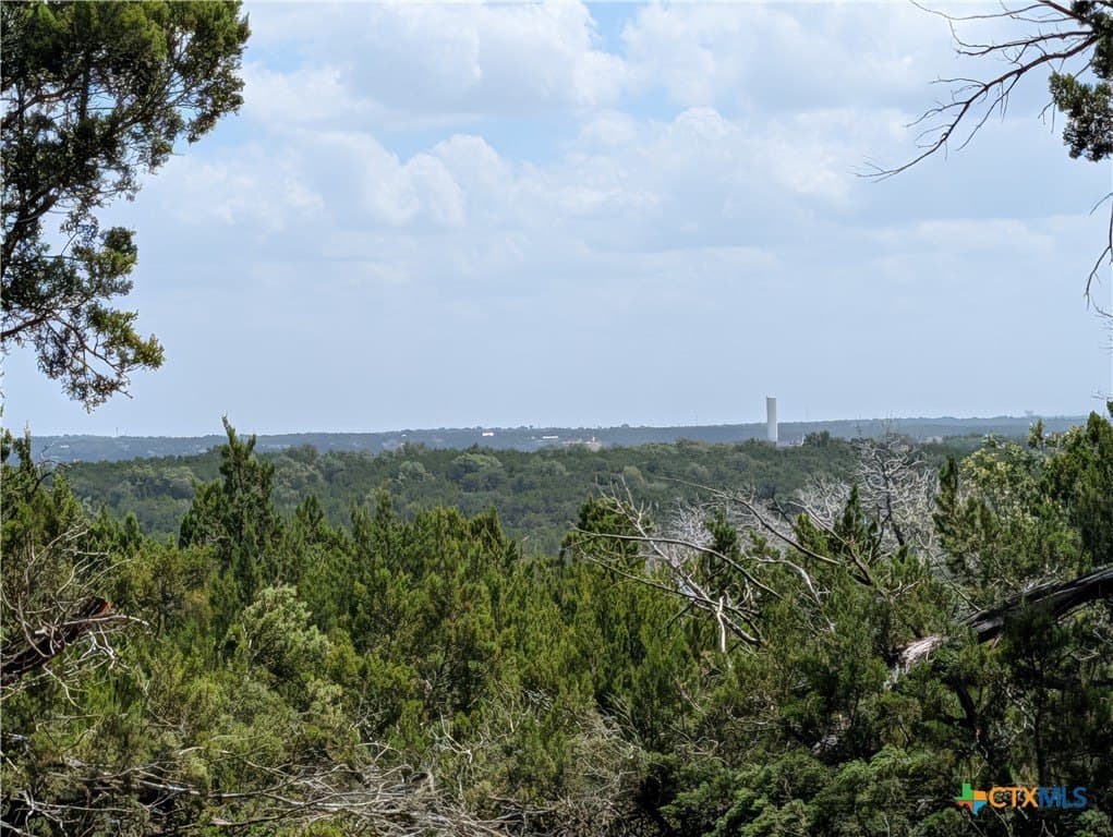 12.36 acres in Travis County - photo 4