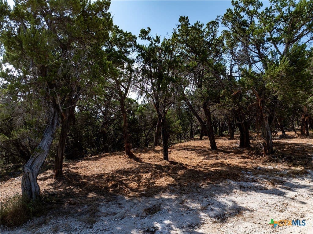 12.36 acres in Travis County - photo 11