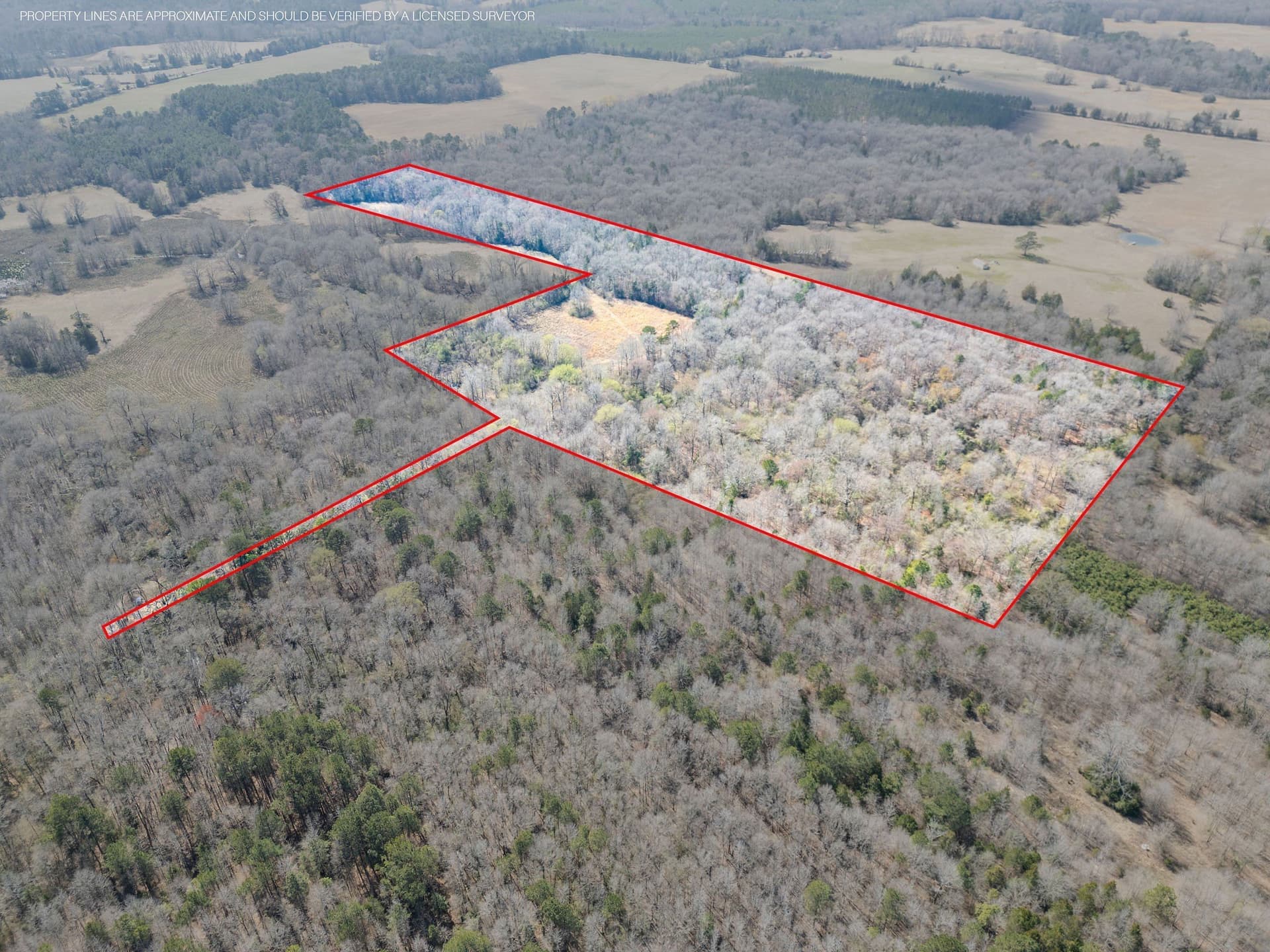 29.95 acres in Cass County - photo 4