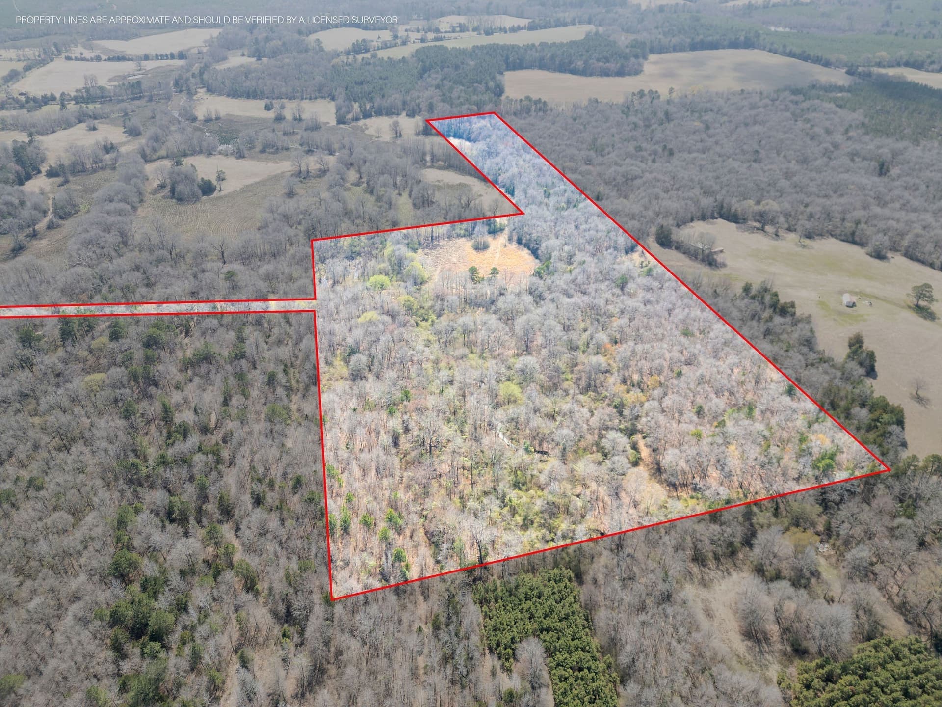 29.95 acres in Cass County - photo 3