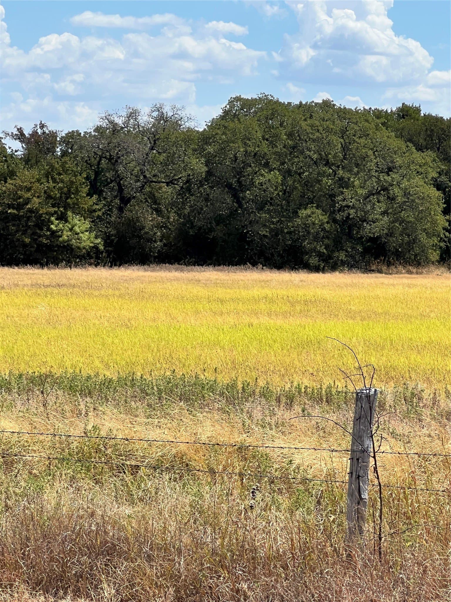 4 acres in Parker County - photo 14