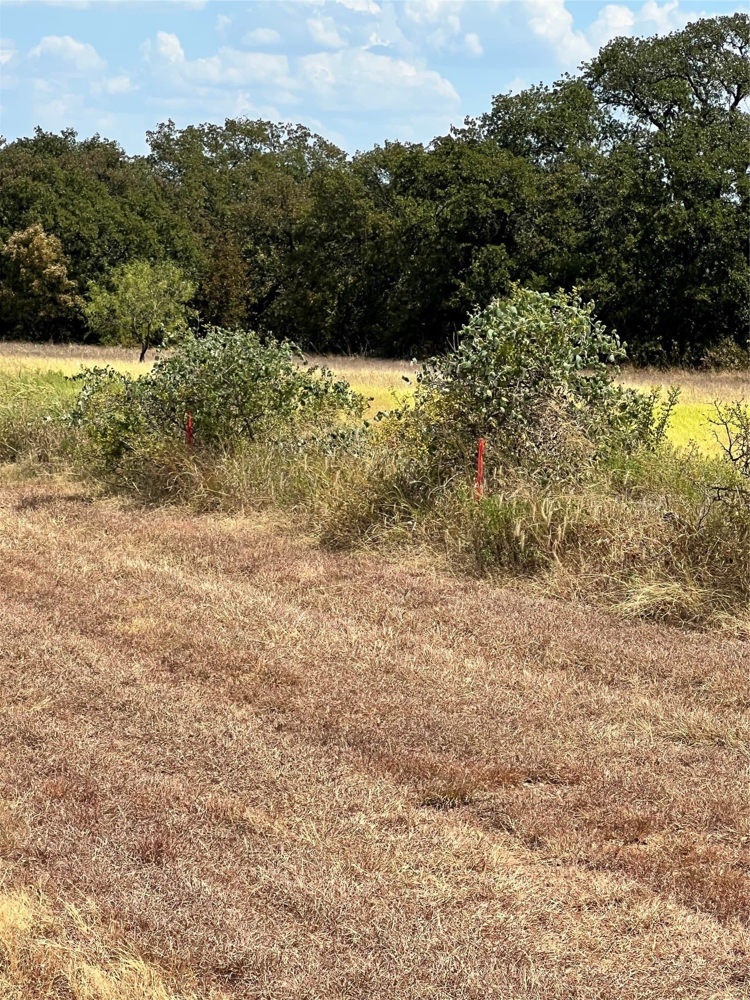 4 acres in Parker County - photo 10