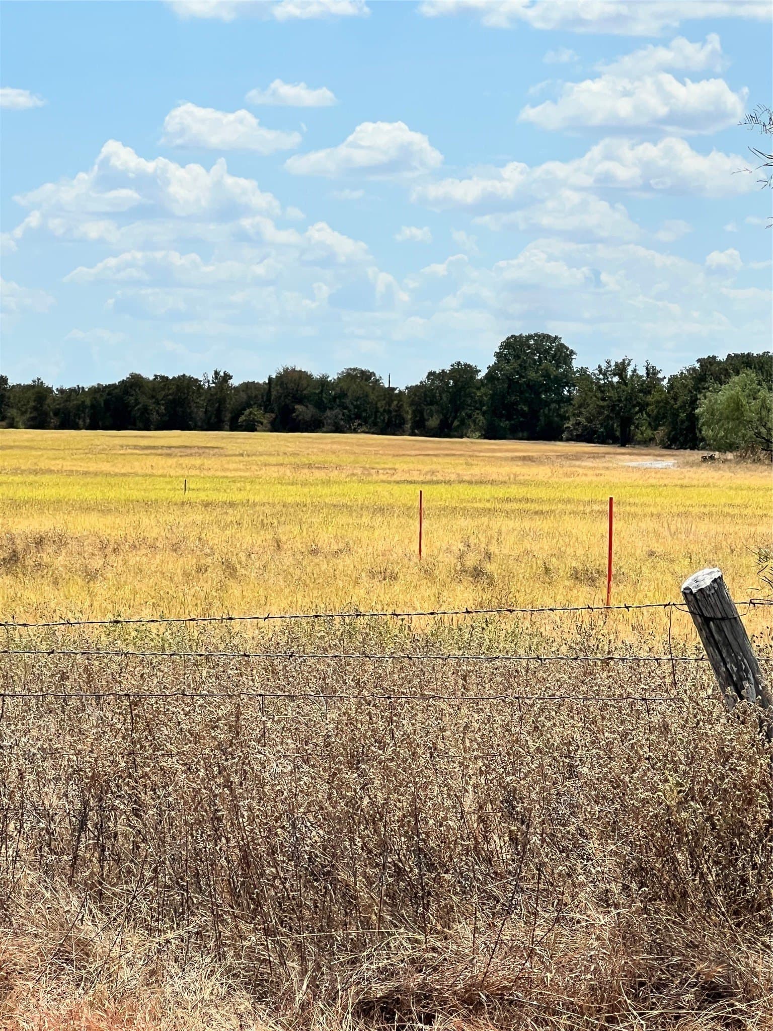 4 acres in Parker County - photo 13
