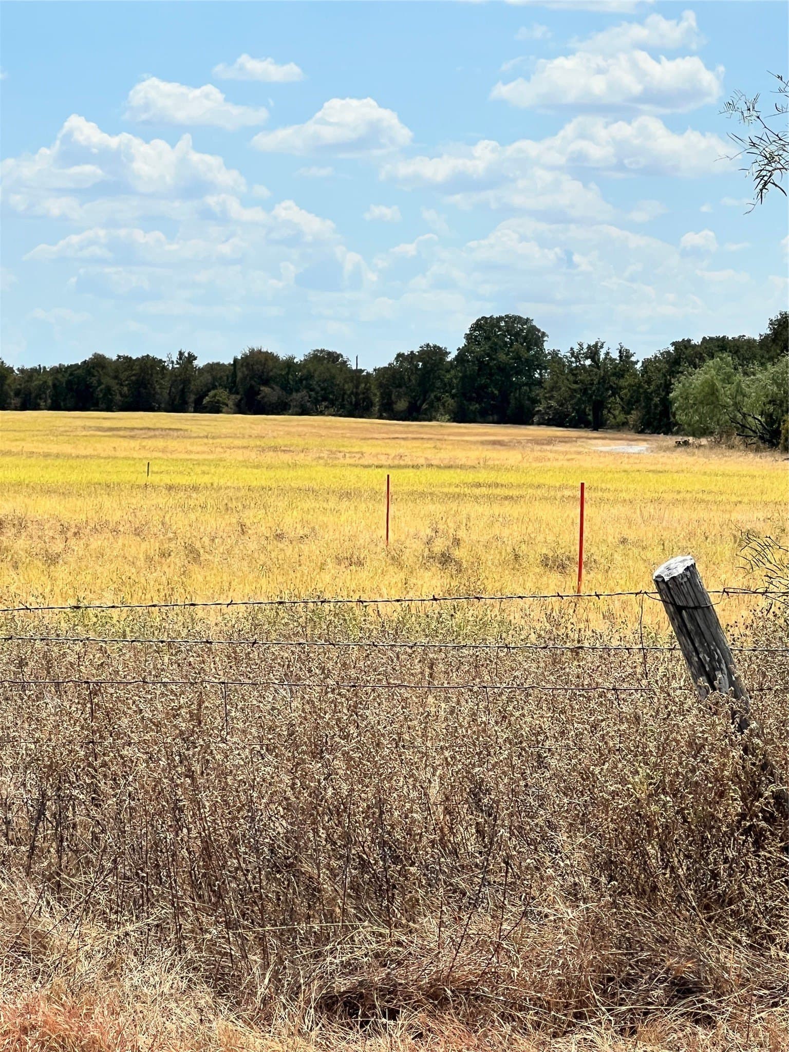 4 acres in Parker County - photo 16