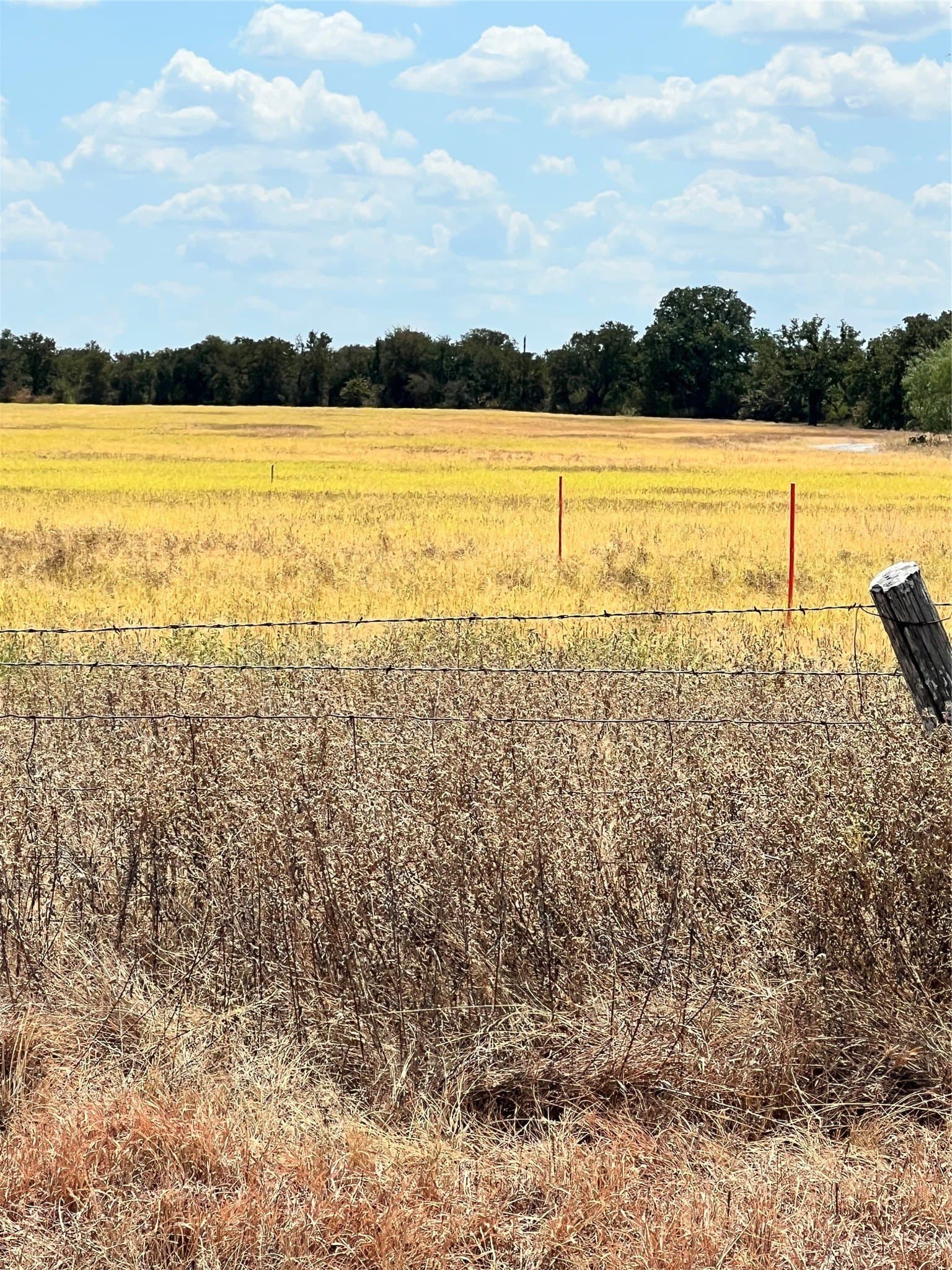 4 acres in Parker County - photo 15