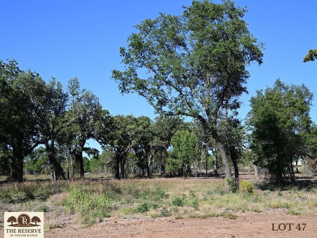 1.58 acres in Parker County gallery image 2