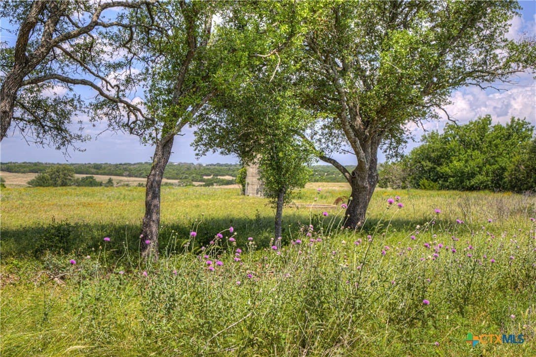10.01 acres in Lampasas County - photo 7