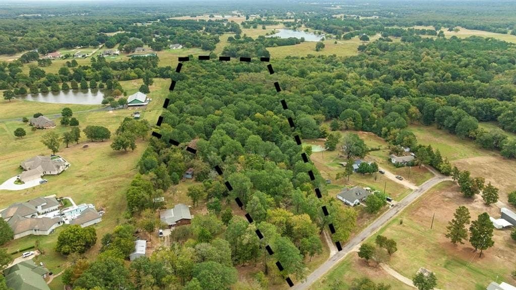 12.32 acres in Lamar County gallery image 2