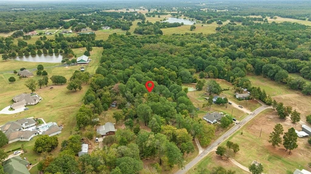 12.32 acres in Lamar County gallery image 3