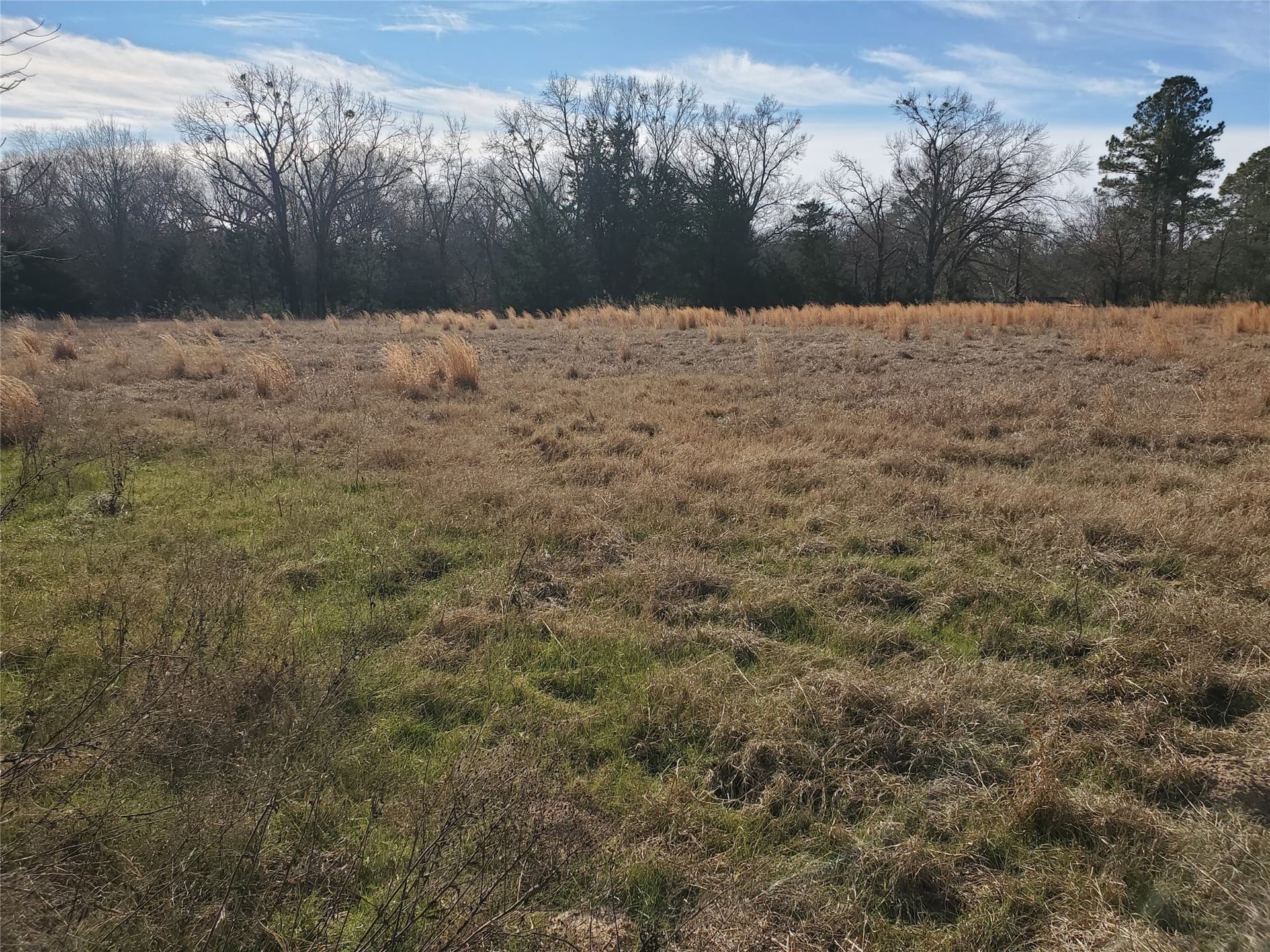 3 acres in Rains County - photo 4