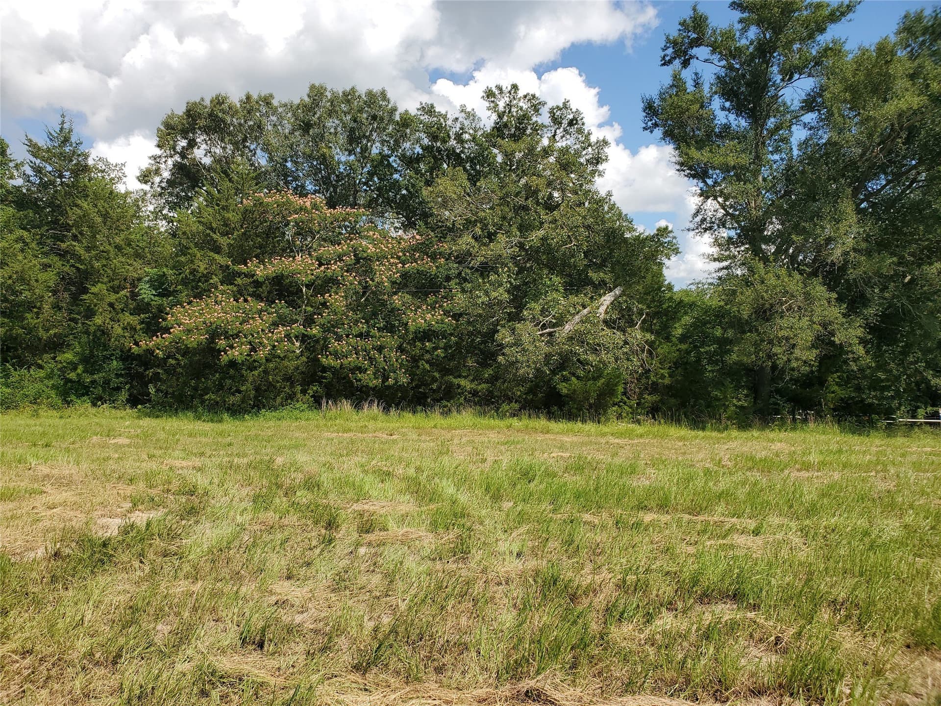 3 acres in Rains County