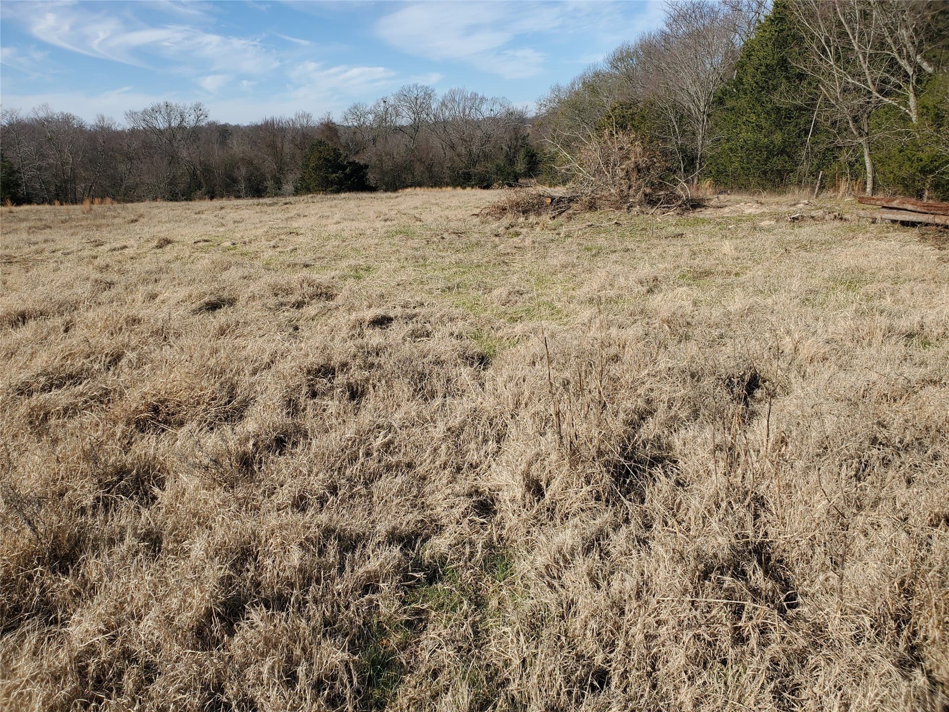 3 acres in Rains County - photo 6